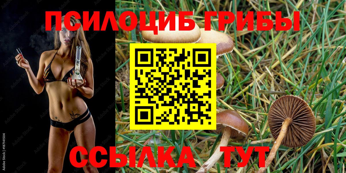 Галлюциногенные грибы мухоморы Златоуст