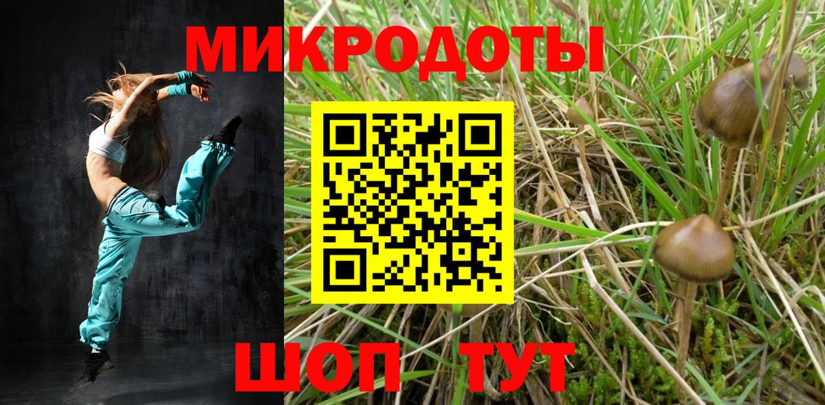 Галлюциногенные грибы Psilocybe  Вход с VPN  магазин продажи   Златоуст 